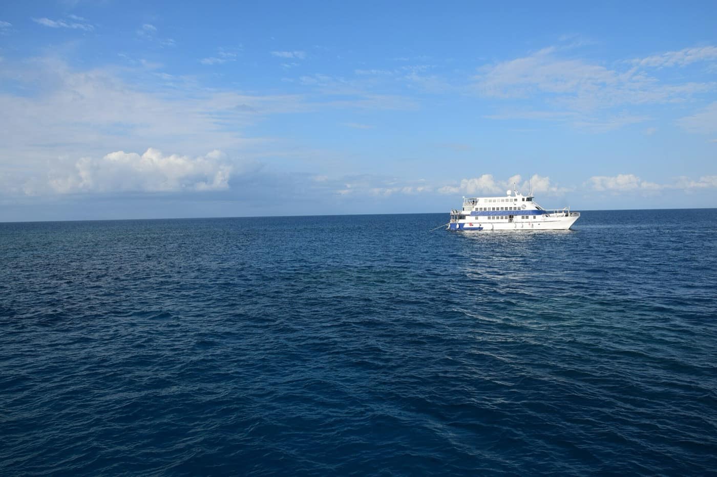 Grande Barrière de corail — Great Barrier Reef Queensland Ank Kumar