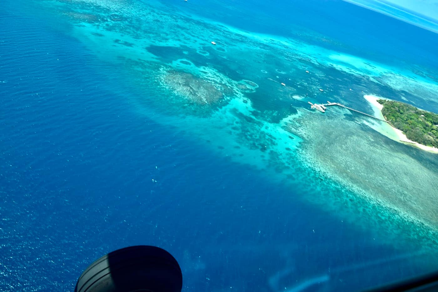 Grande Barrière de corail — Great Barrier Reef off Cairns coast (Ank Kumar) 02