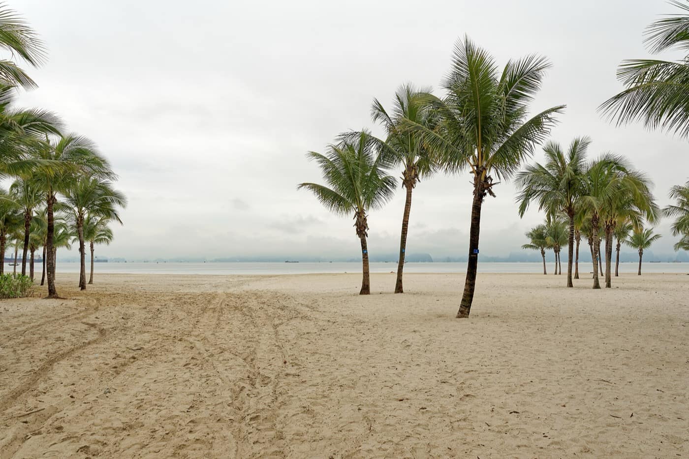 Baie d'Ha Long — Bai Chay beach, Ha Long, Vietnam, 20240129 0915 3958