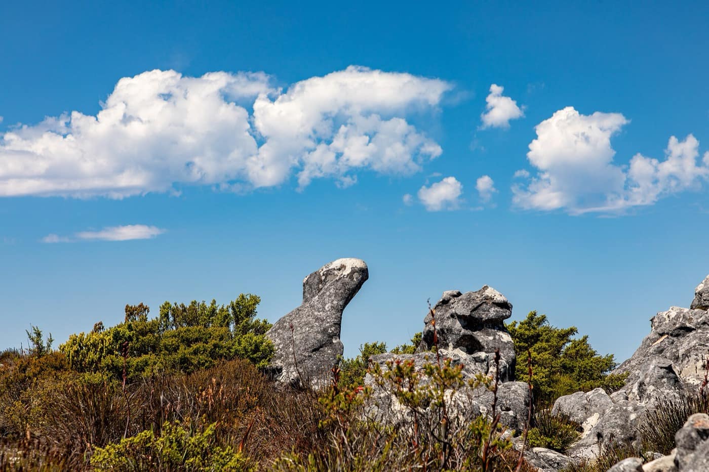 Le Cap — Cape Town (ZA), Table Mountain -- 2024