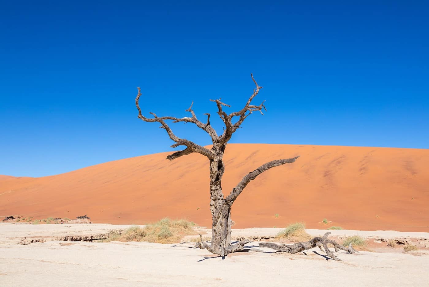 Namibie — Dead Vlei, Sossusvlei, Namibia