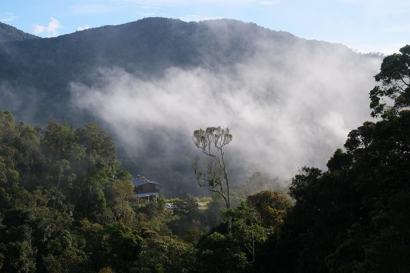 Bornéo — Rainforest cloud forming Kinabalu Sabah Borneo Kampong Kundasang 1