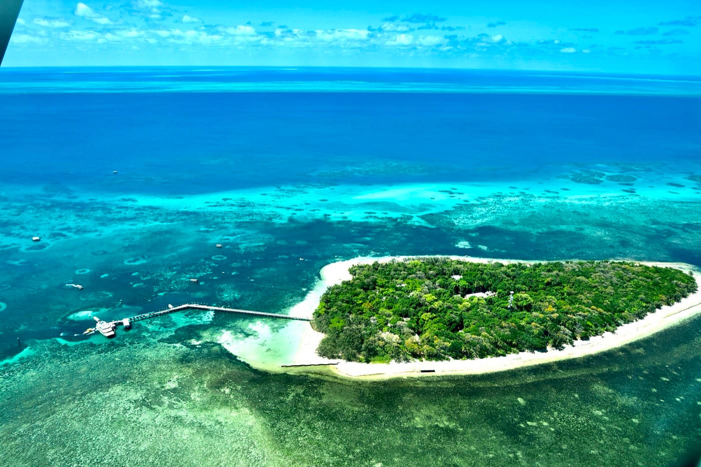 Grande Barrière de corail — Great Barrier Reef off Cairns coast (Ank Kumar) 05