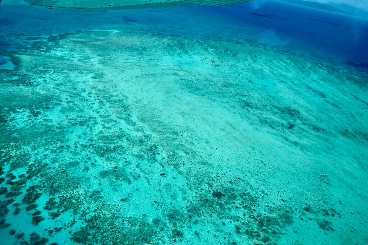 Grande Barrière de corail — The Great Barrier Reef, Cairns, Queensland (Ank Kumar) 08