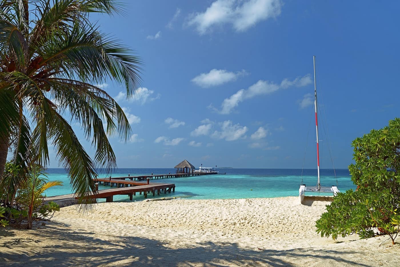 Maldives — Palm tree and pier. Eriyadu, Maldives